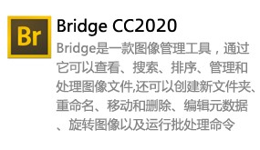 Bridge CC 2020-太平洋软件网_3d软件网只做精品软件_软件安装，学习，视频教程综合类网站！