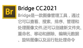 Bridge CC 2021-太平洋软件网_3d软件网只做精品软件_软件安装，学习，视频教程综合类网站！